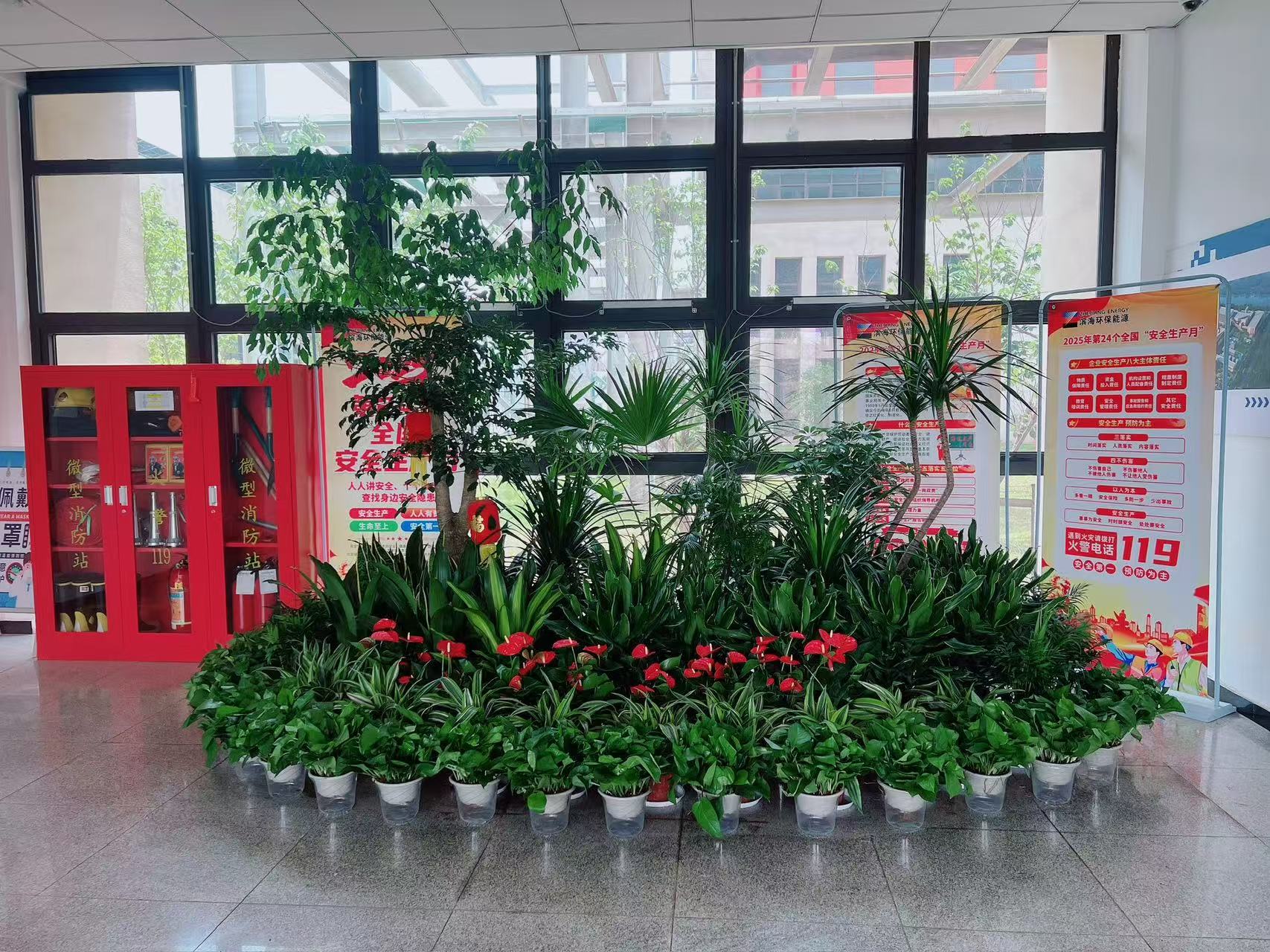 宁波镇海植物租摆公司，绿植租赁的优质之选